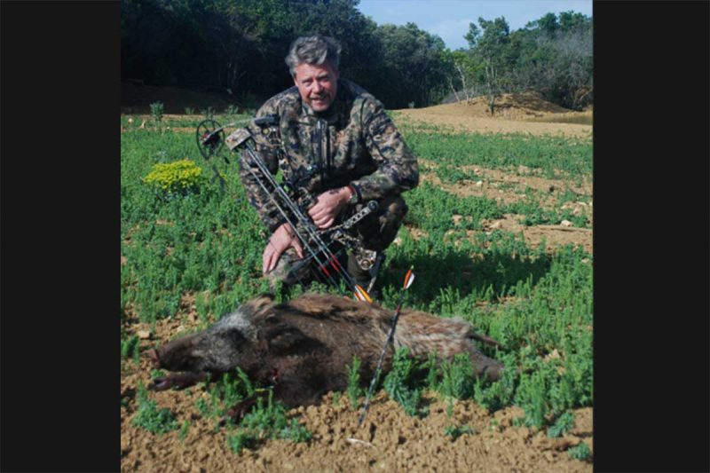 Bowhunter with wild boar