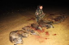 Hunter with wild boar