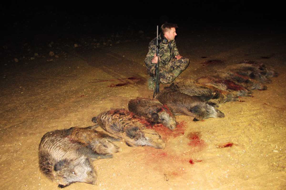 Hunter with wild boar