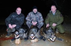 Three hunters with keilers
