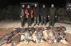 Wild boar result for first night February 2020. Four medal keilers including a big gold medal.
