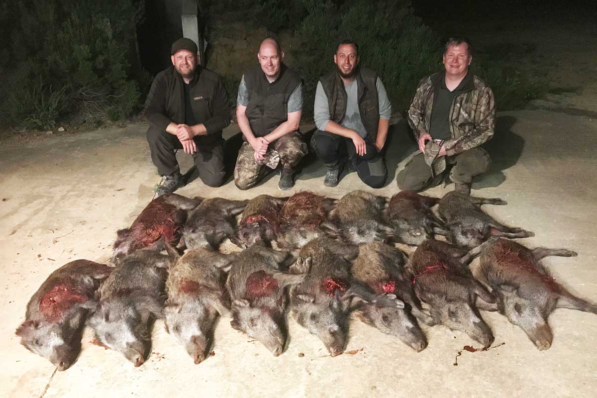 Evening hunt for four hunters